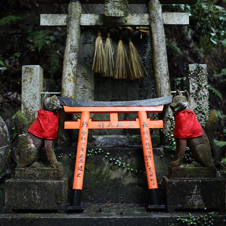 Japanese shrine pathway